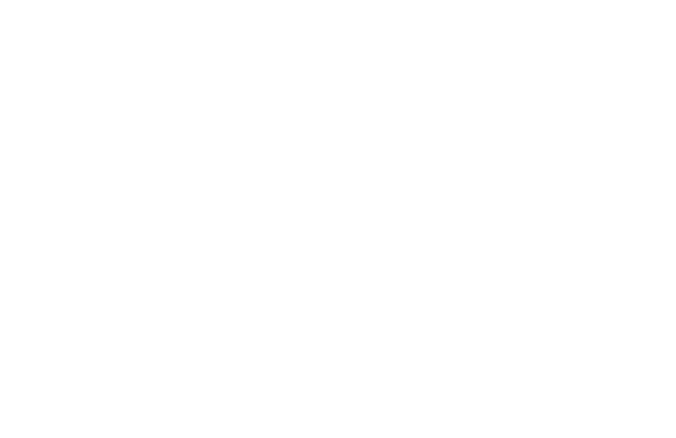 The Light Guy